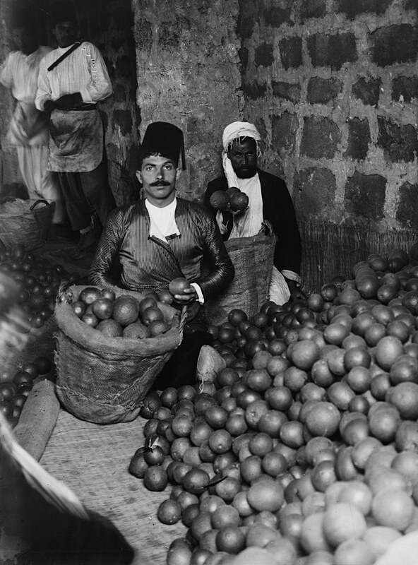 فرز البرتقال اليافاوي